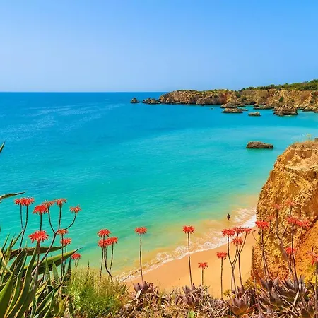 Casa Paraiso - Beautiful Carvoeiro With Sea Views And Private Pool Short Walk To Beach Villa